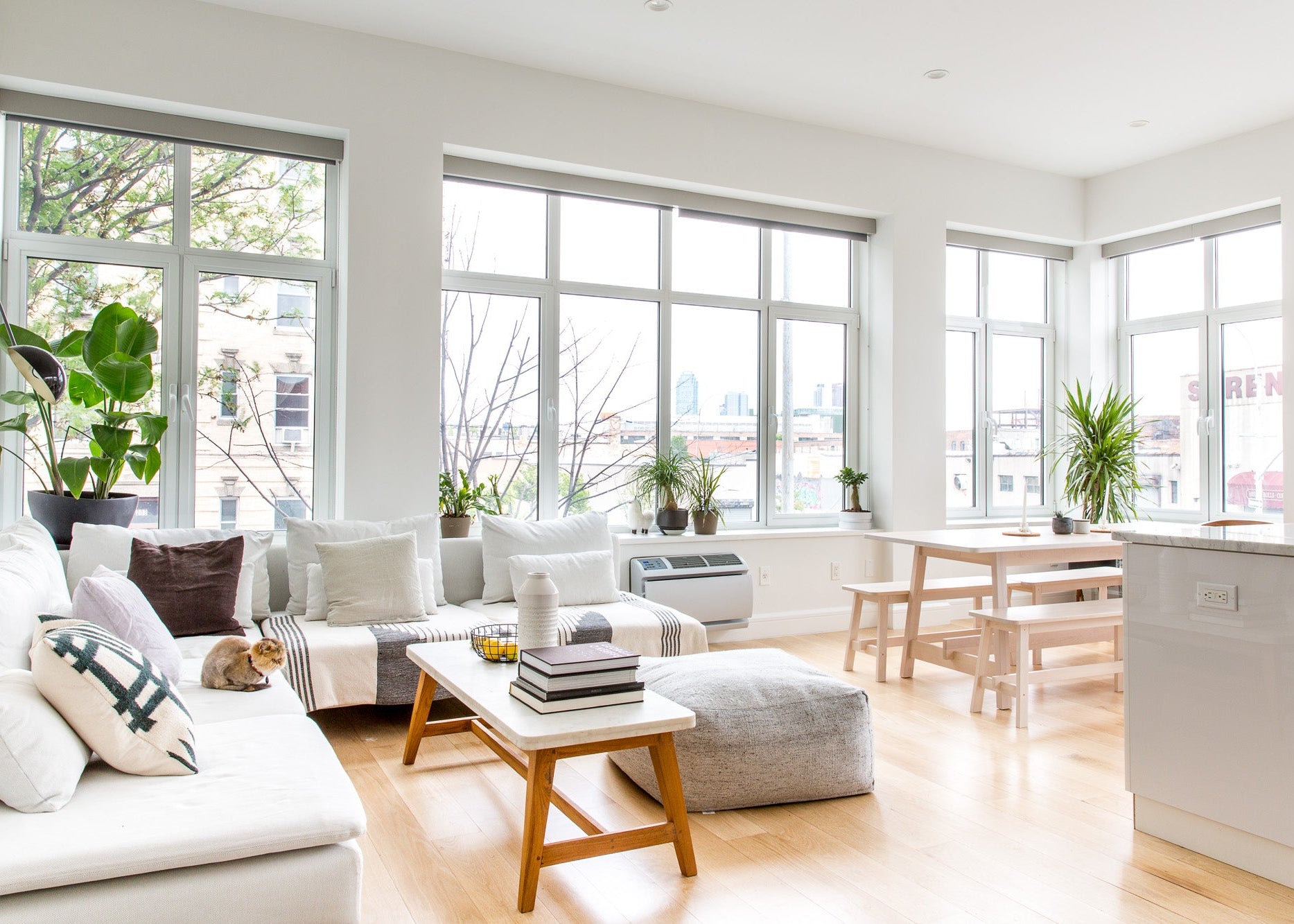 Standard House Cleaning- Starting at $150